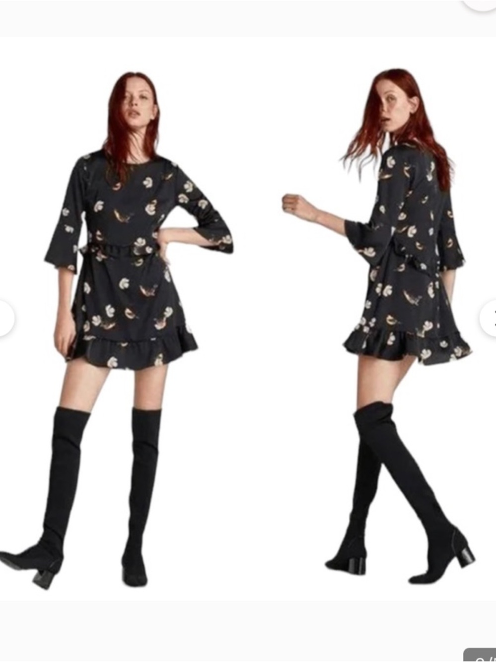 Zara Dragonfly and Dandelion Black Ruffle Long Sleeve Mini Dress Size L